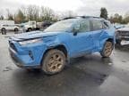 RAV4 WOODL