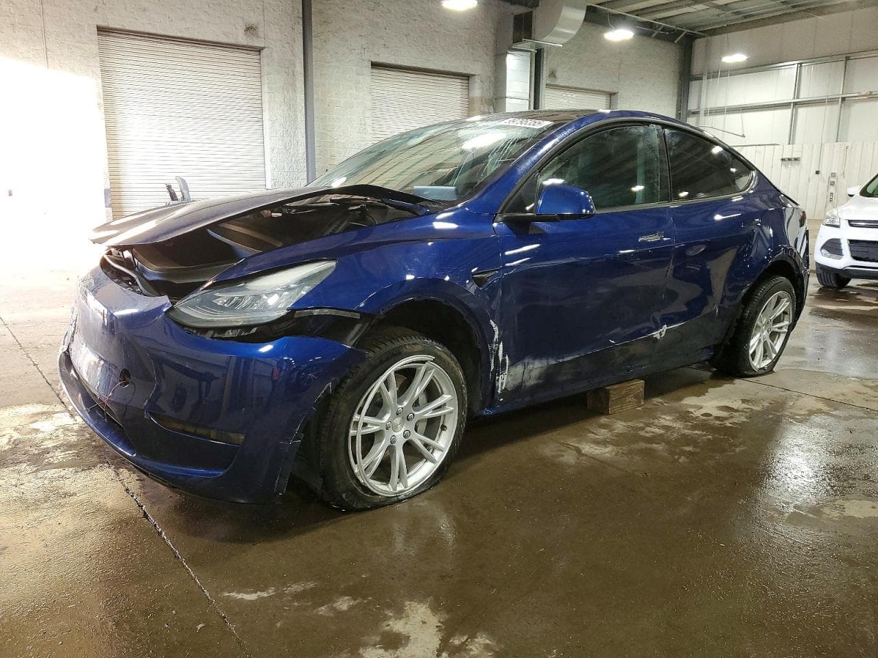 MODEL Y