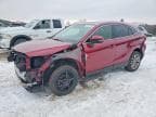 VENZA