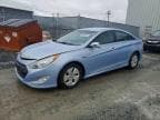 SONATA