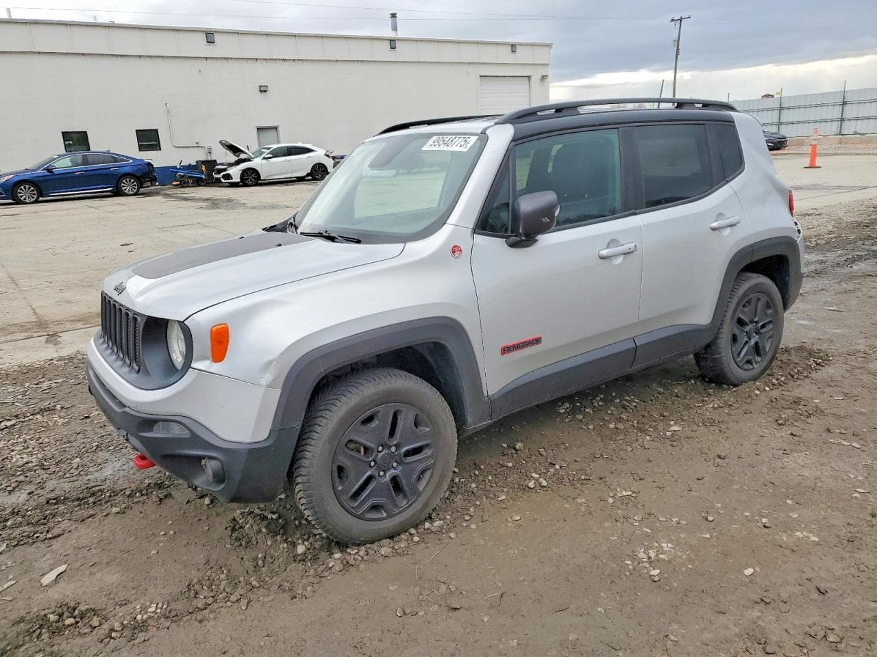 RENEGADE