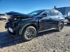 NX 350H BA