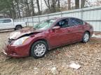 ALTIMA