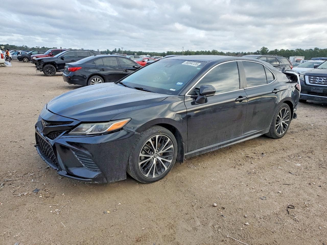 CAMRY
