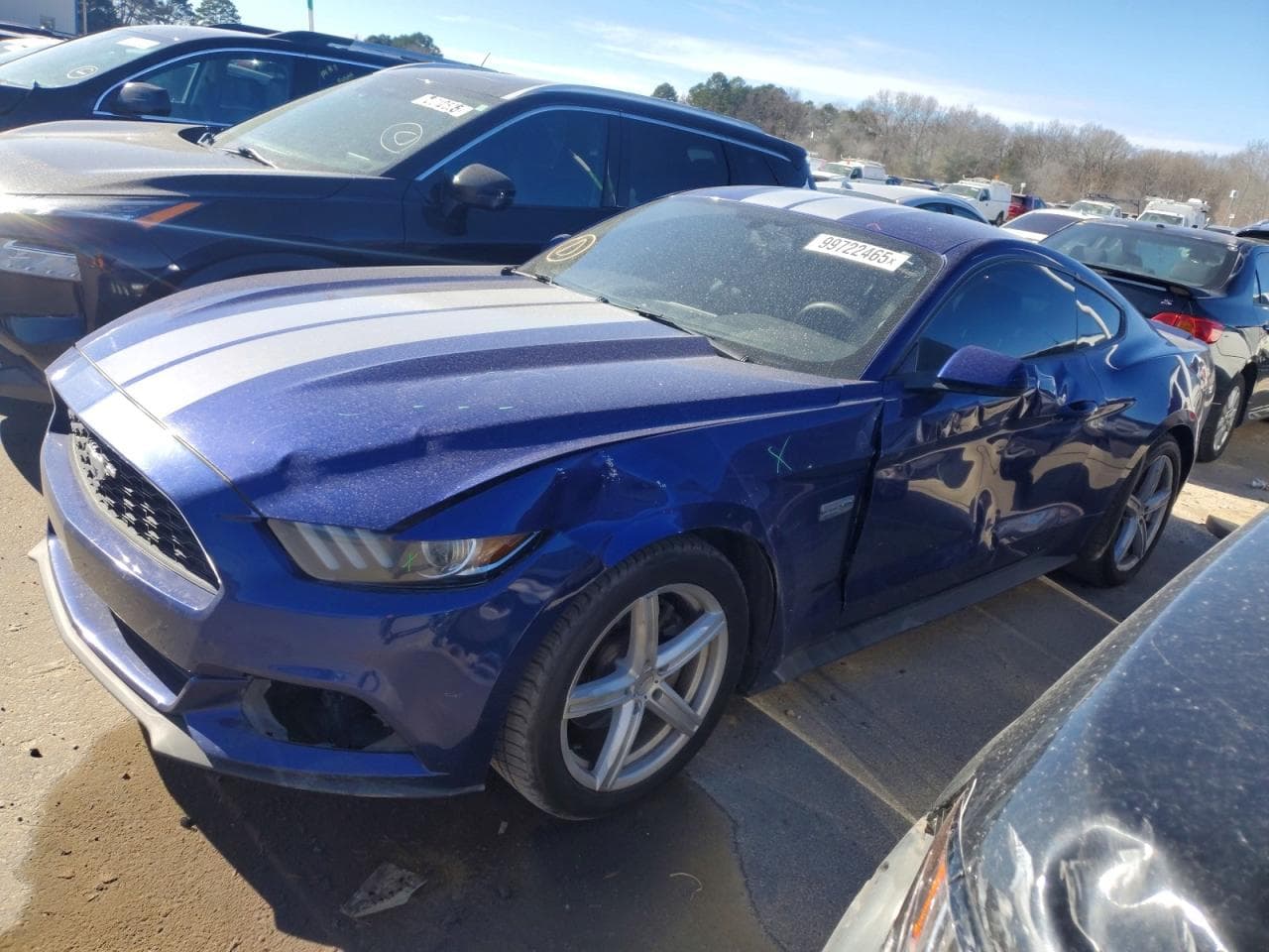 MUSTANG