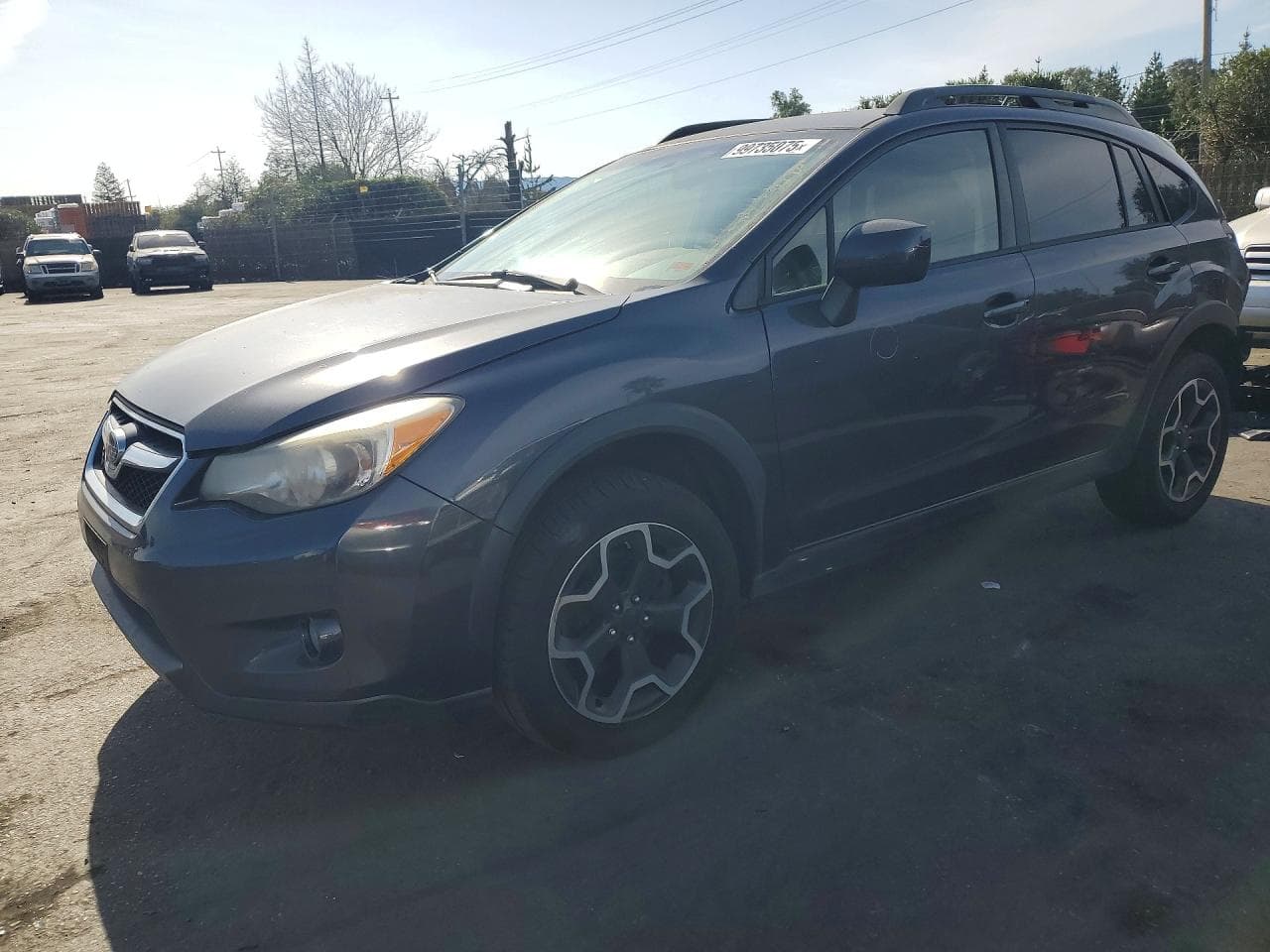 XV