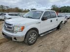F-150