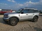 BRONCO