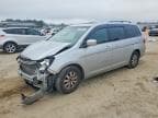 ODYSSEY EX