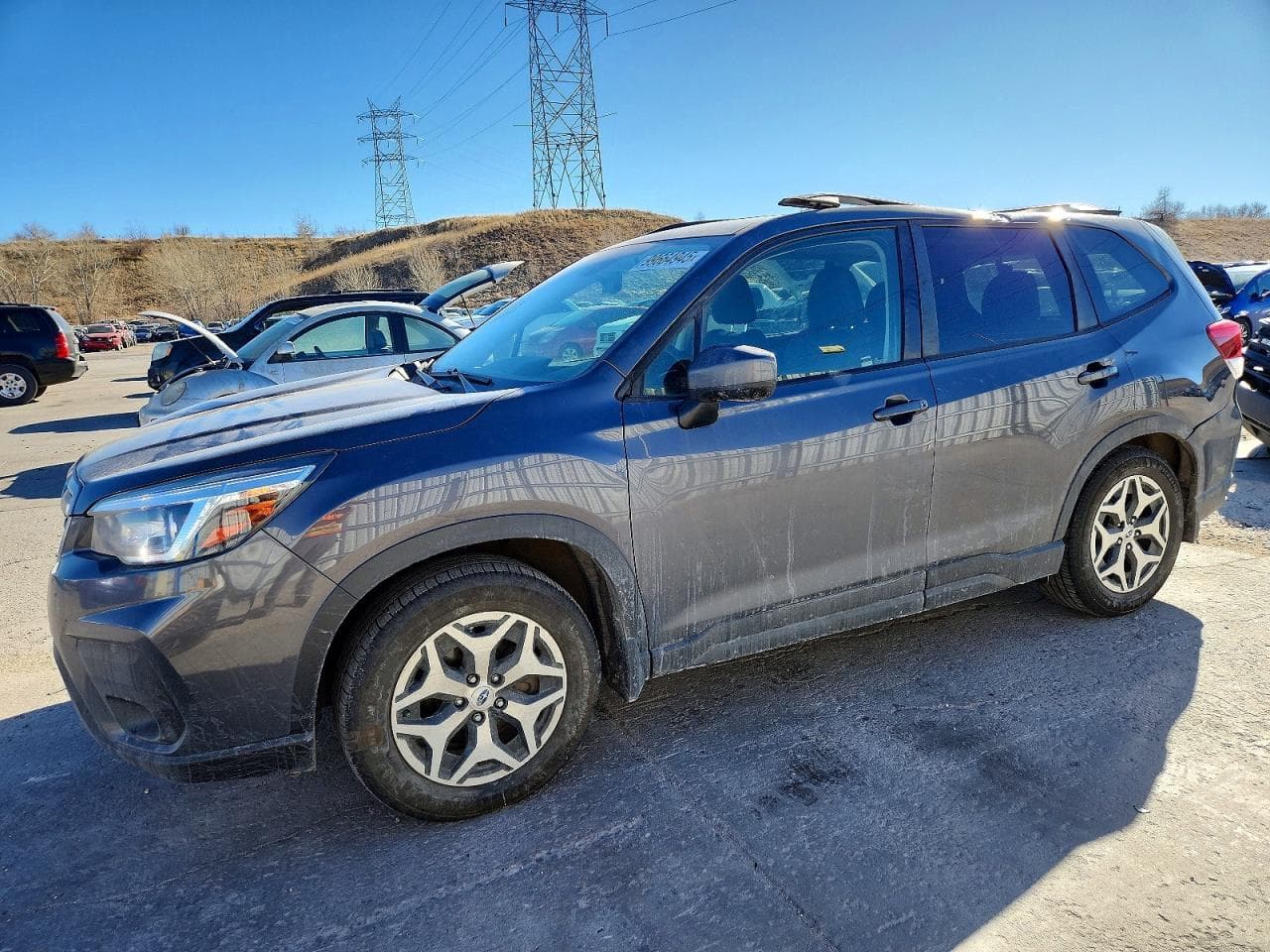 FORESTER