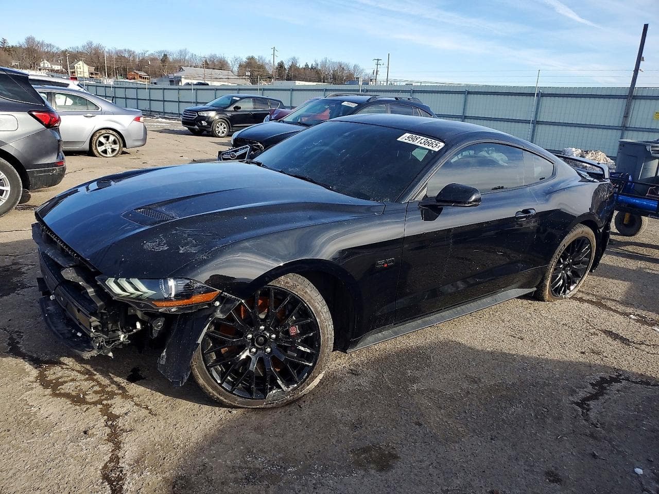 MUSTANG
