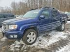 RIDGELINE