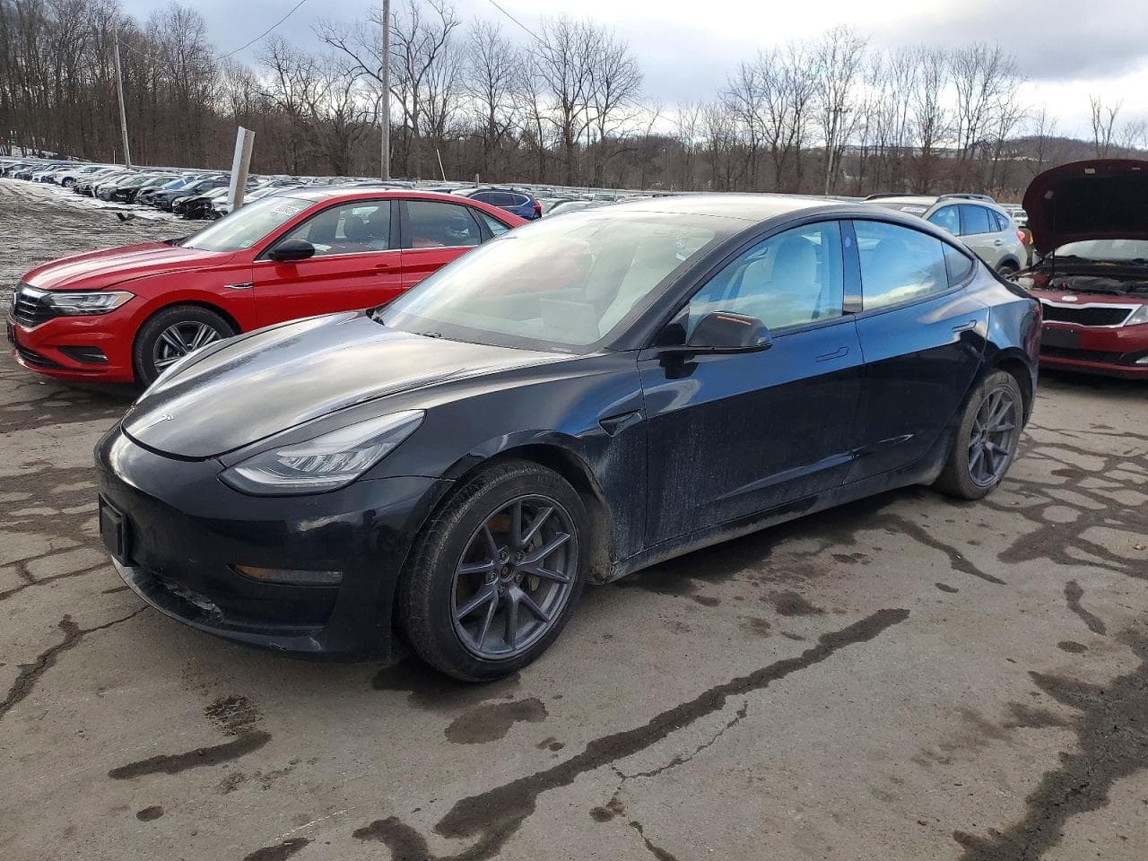 MODEL 3