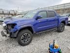 TACOMA