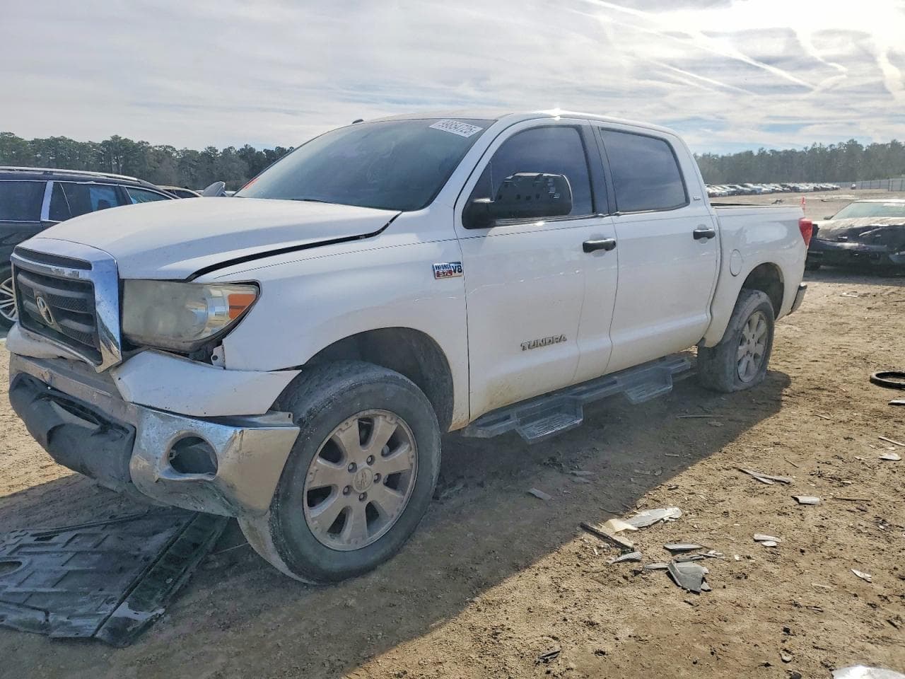 TUNDRA