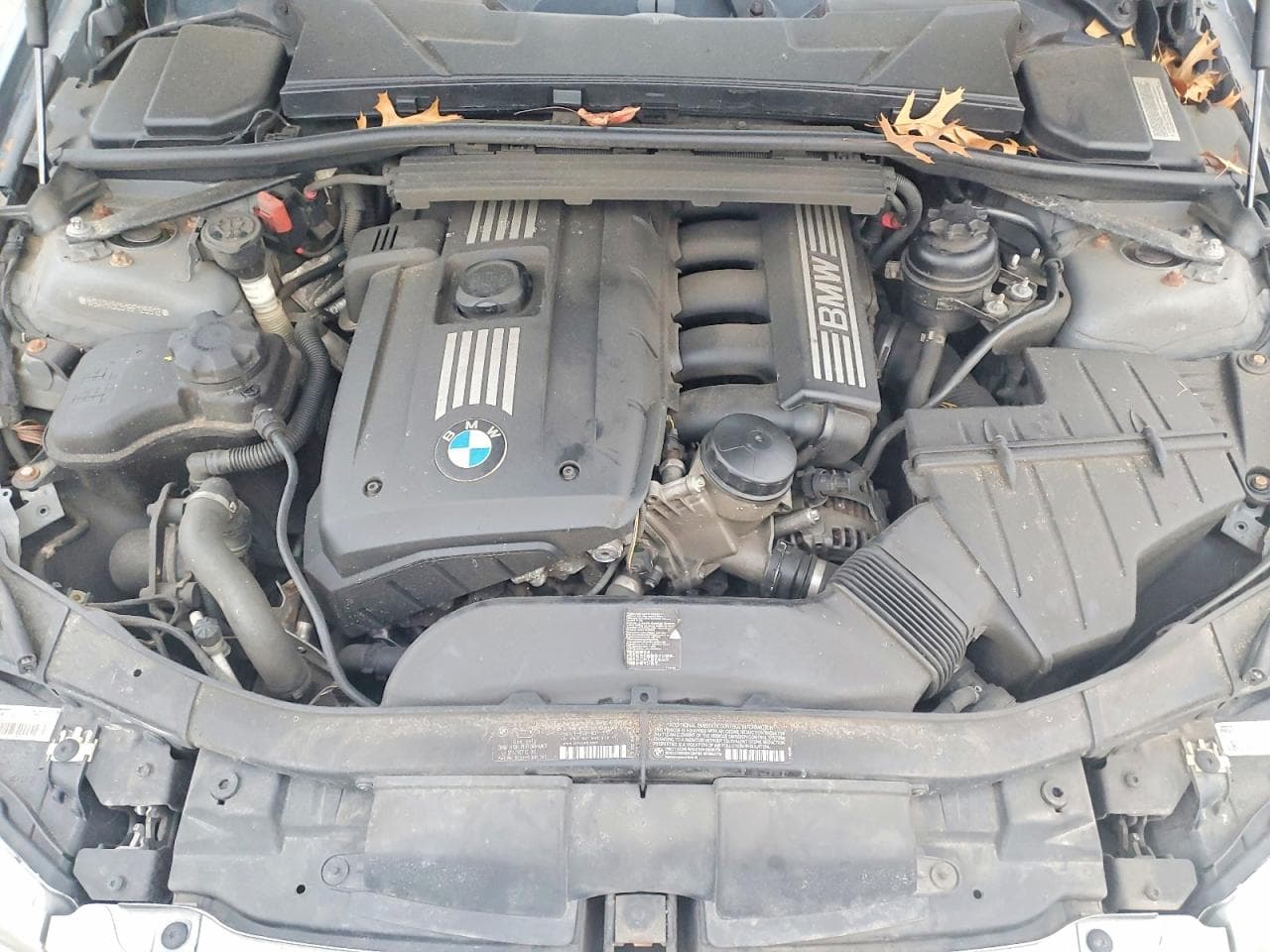 Foto 11