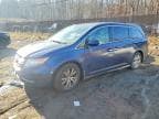 ODYSSEY EX