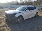 OPTIMA