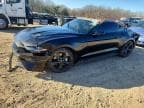 MUSTANG