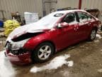 CRUZE