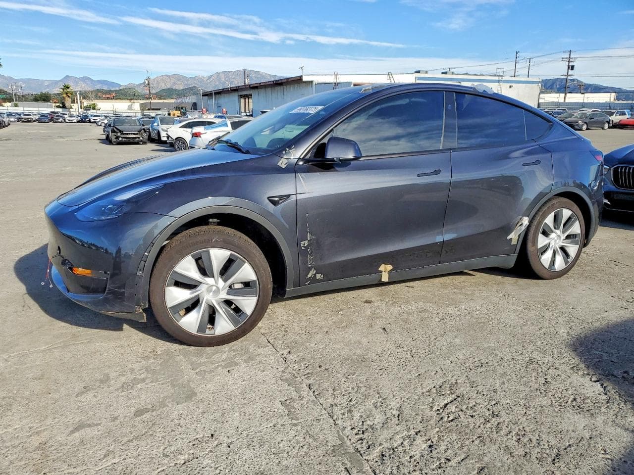 MODEL Y