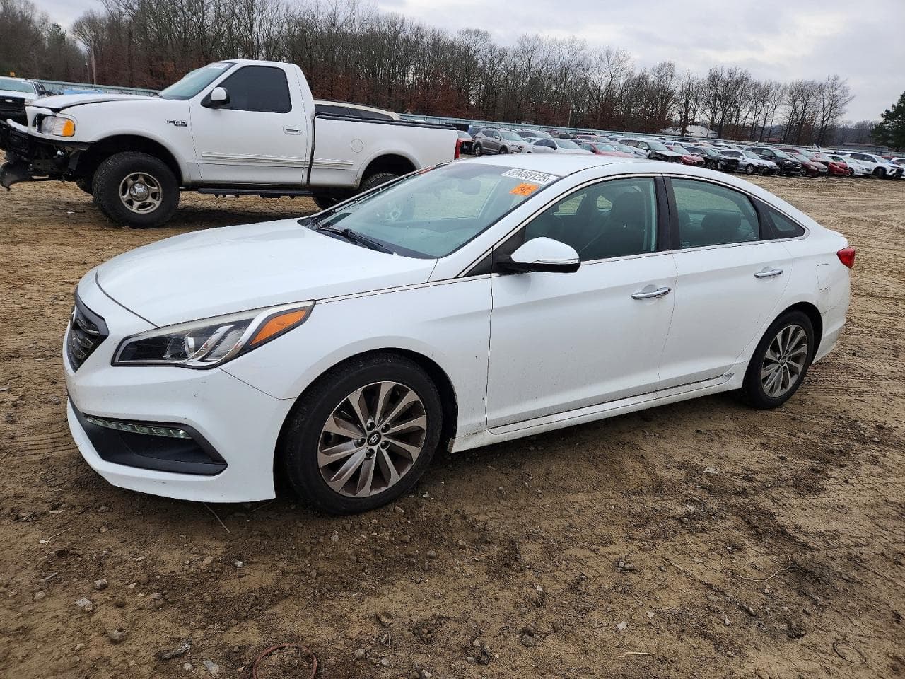 SONATA