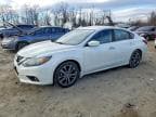 ALTIMA