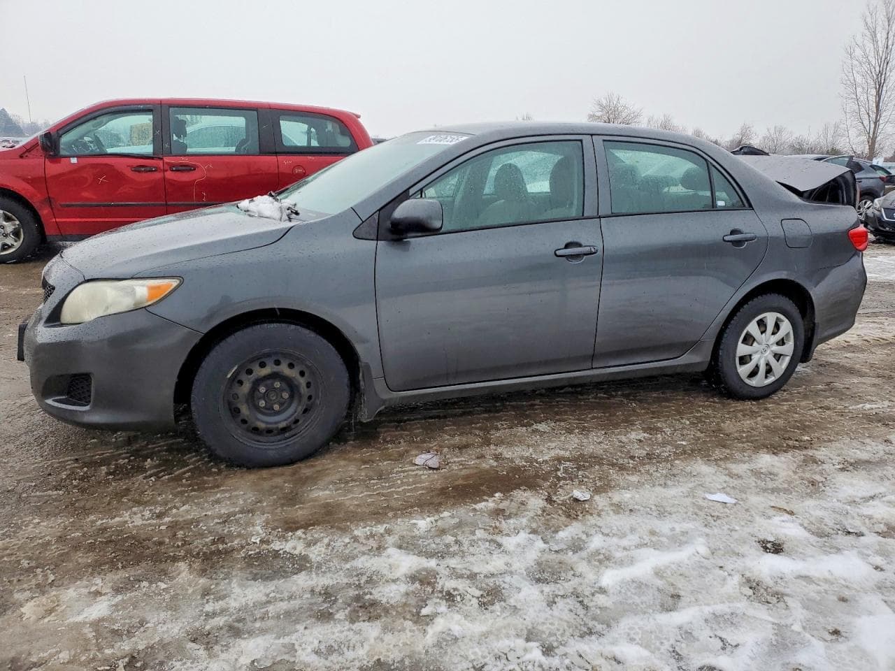 COROLLA
