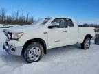 TUNDRA