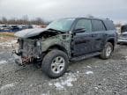 4RUNNER