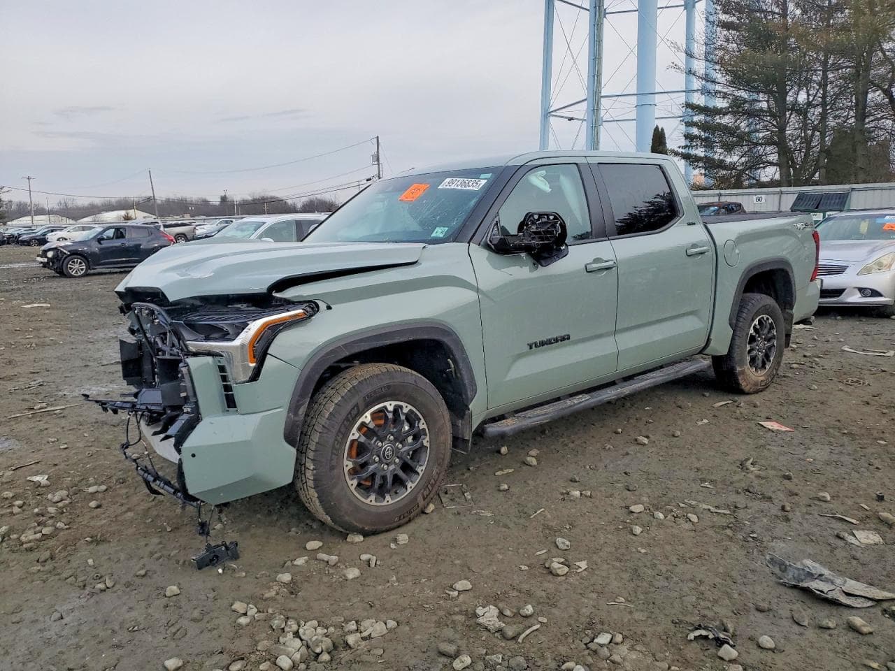 TUNDRA