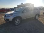 SORENTO