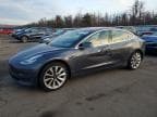 MODEL S