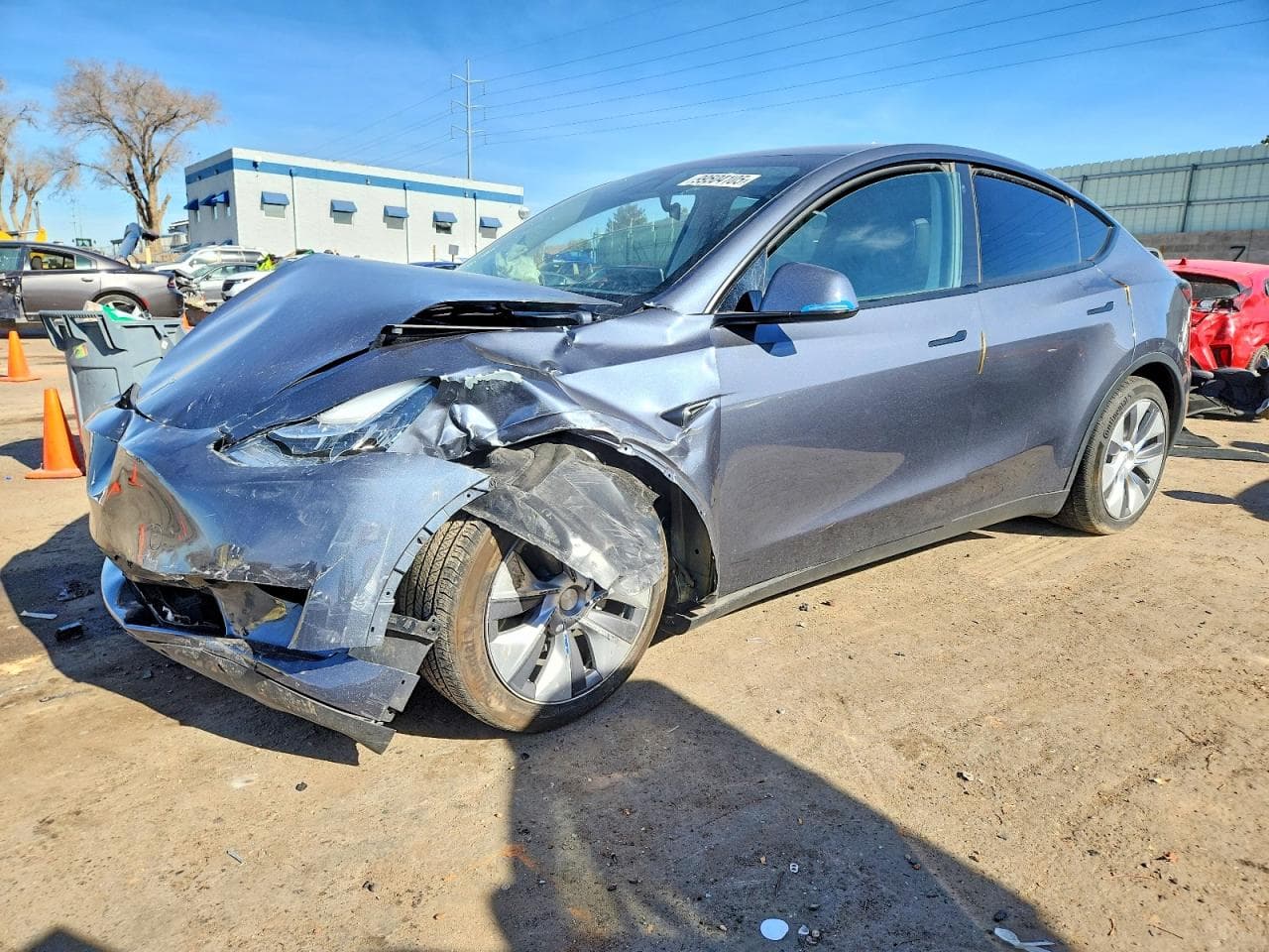 MODEL Y