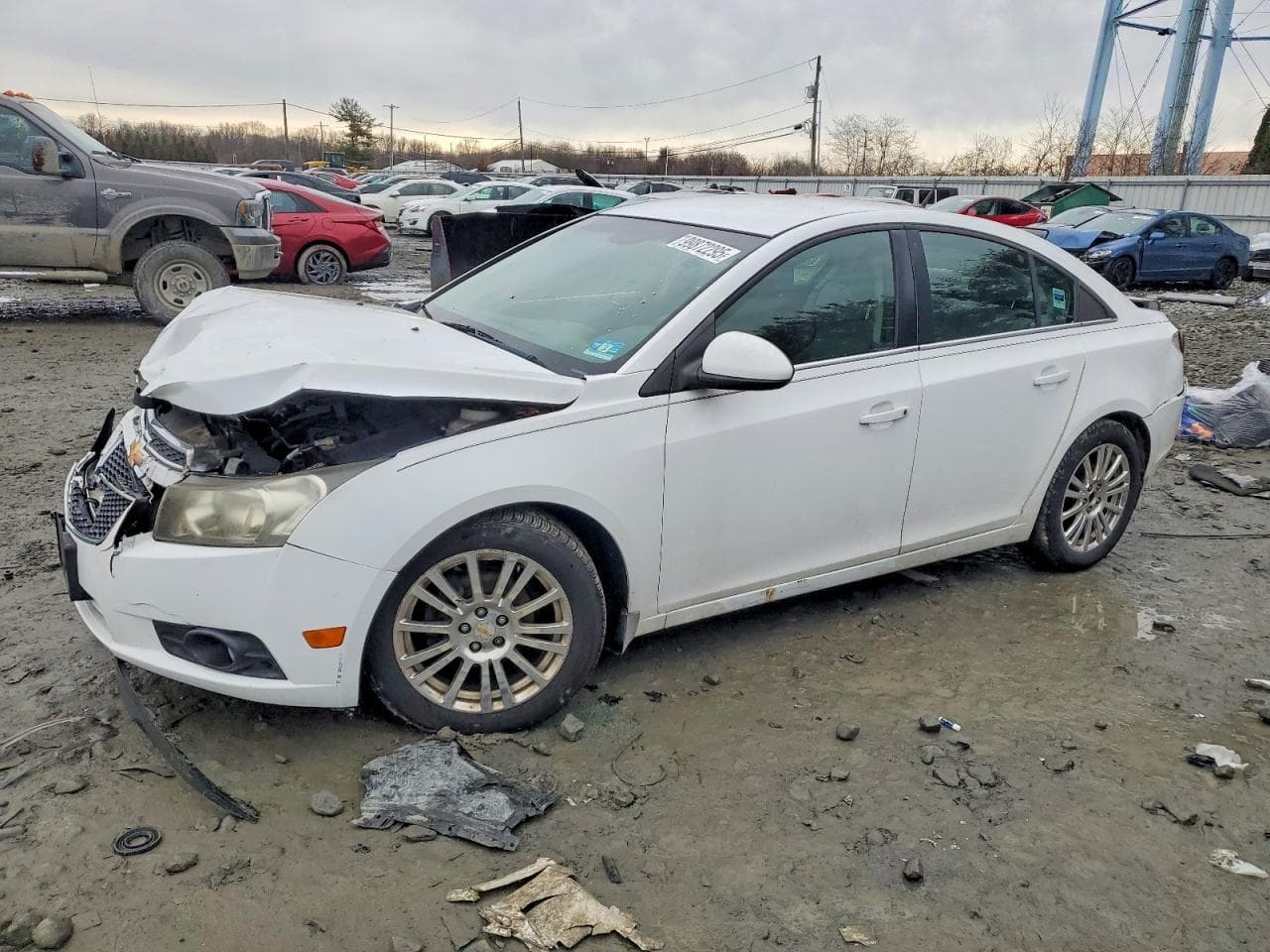 CRUZE