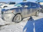 SORENTO