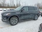 QX80