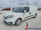 PROMASTER