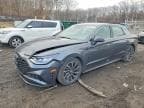 SONATA