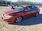 ALTIMA