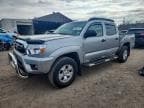 TACOMA