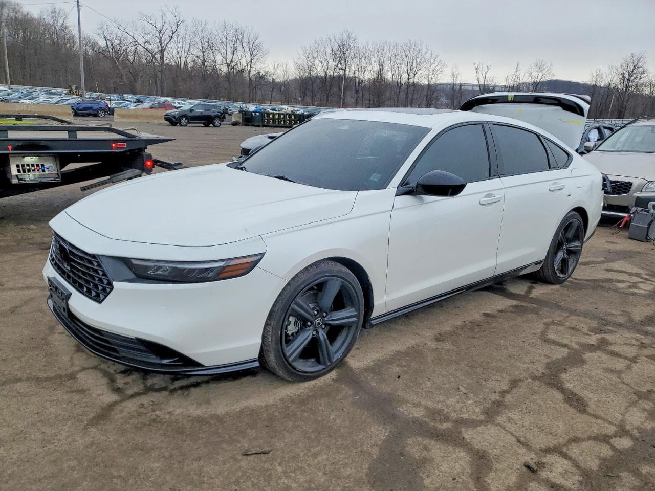 ACCORD