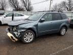 FORESTER
