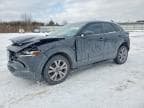 CX30
