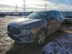SANTA FE