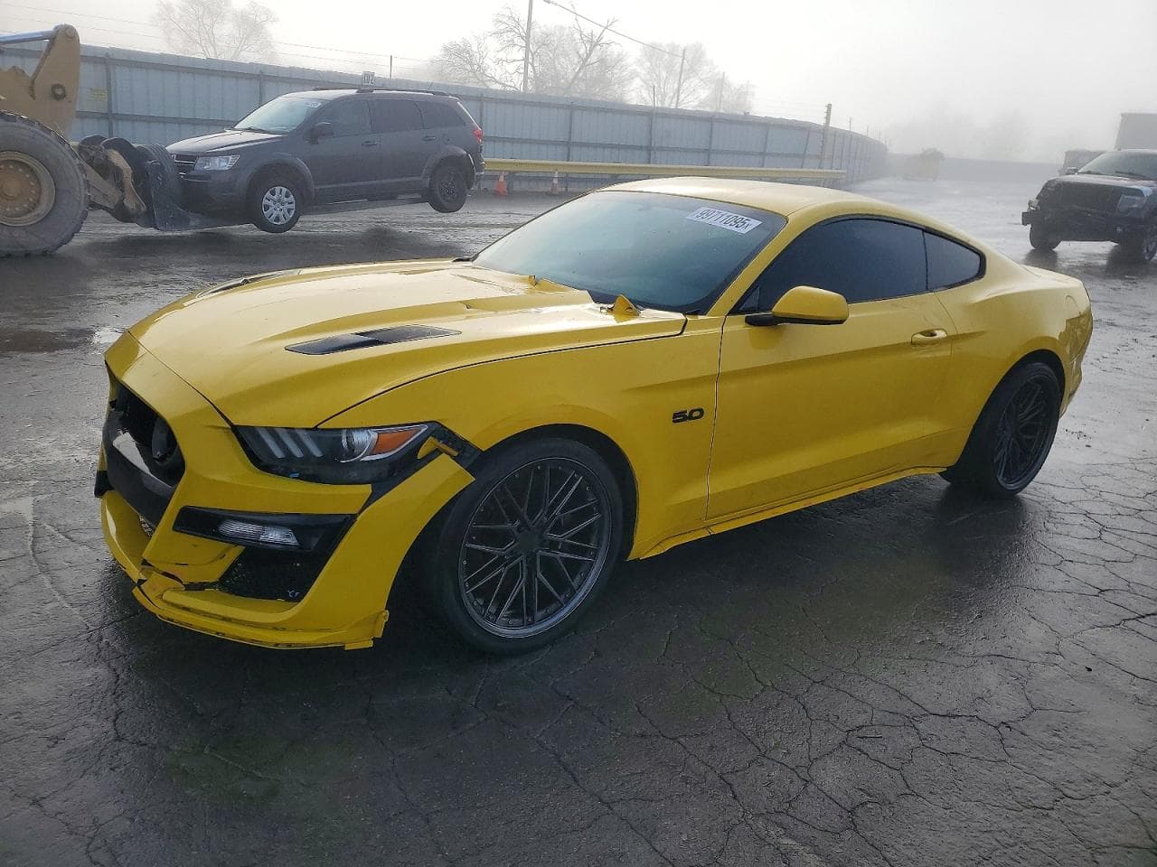MUSTANG