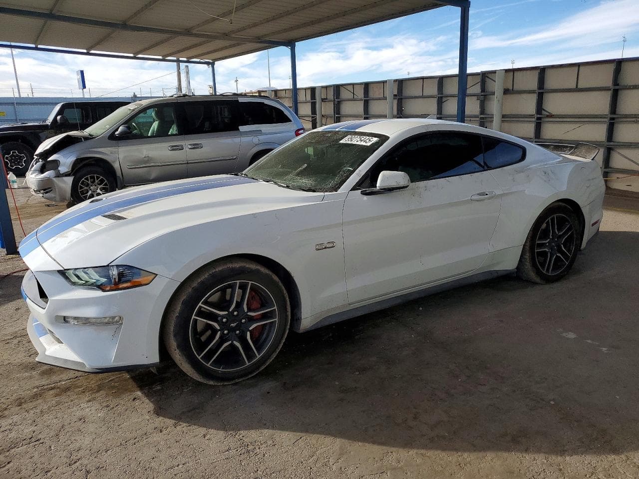 MUSTANG