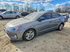 ELANTRA