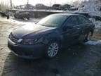 ACCORD