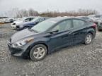 ELANTRA